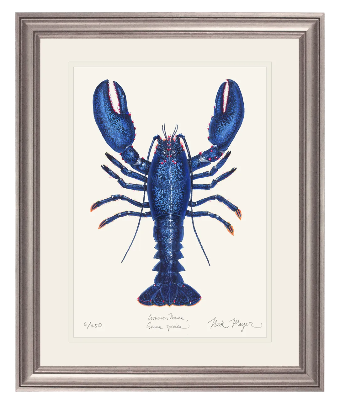 Blue Lobster II Print - Best Seller