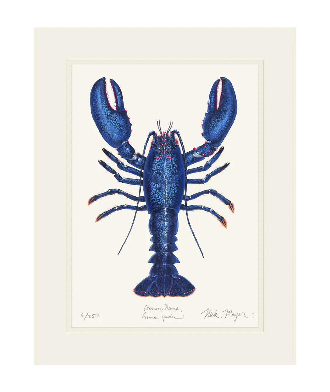 Blue Lobster II Print - Best Seller