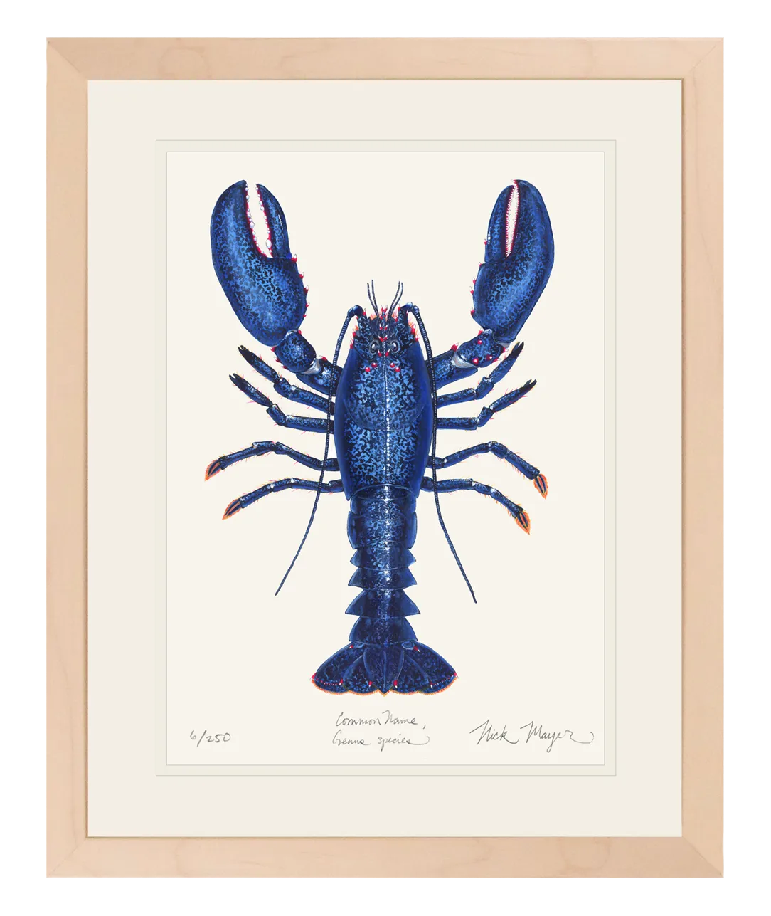 Blue Lobster II Print - Best Seller