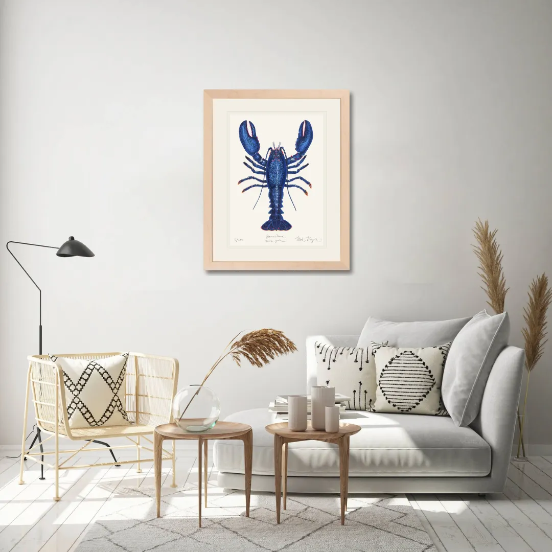 Blue Lobster II Print - Best Seller