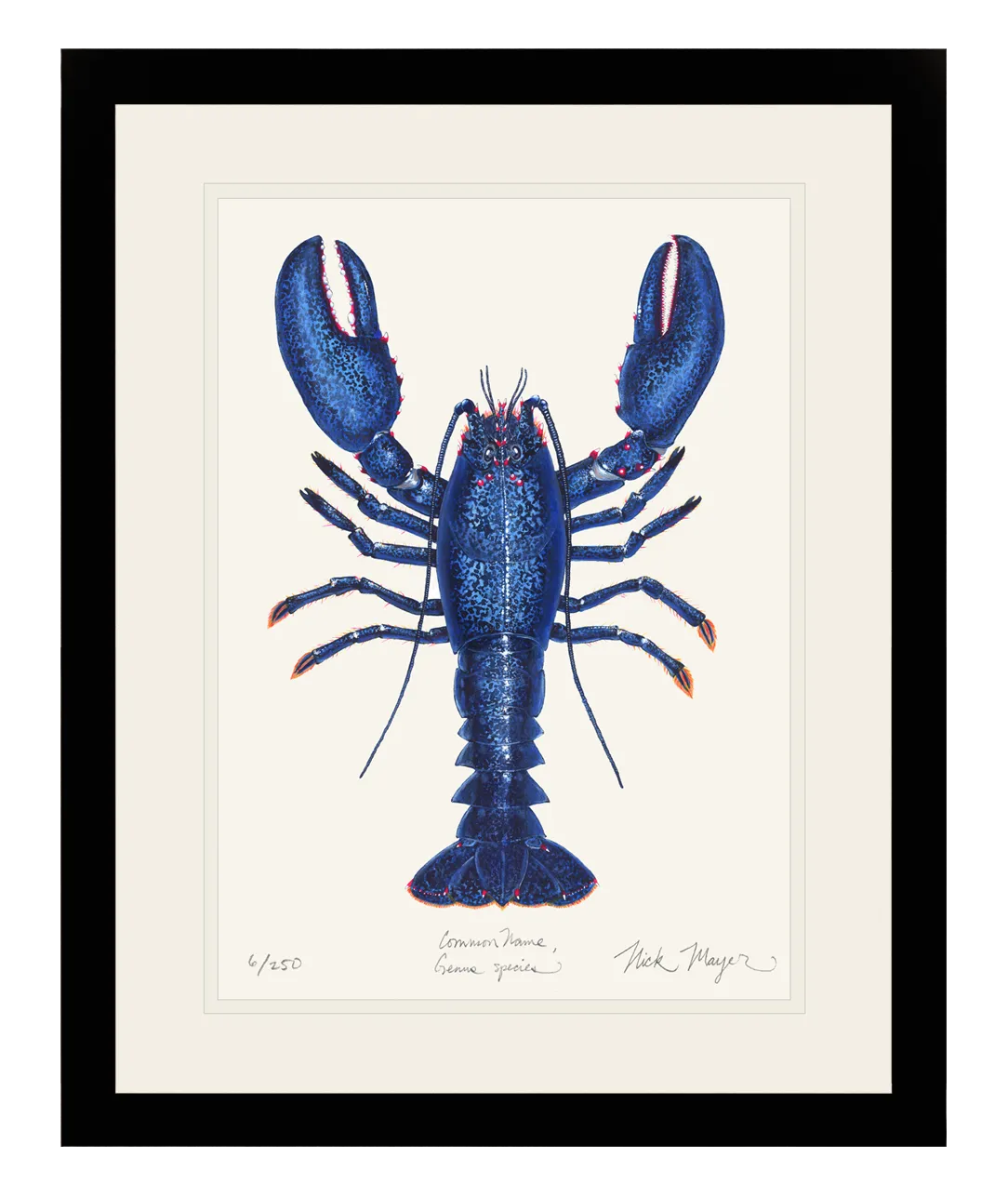 Blue Lobster II Print - Best Seller