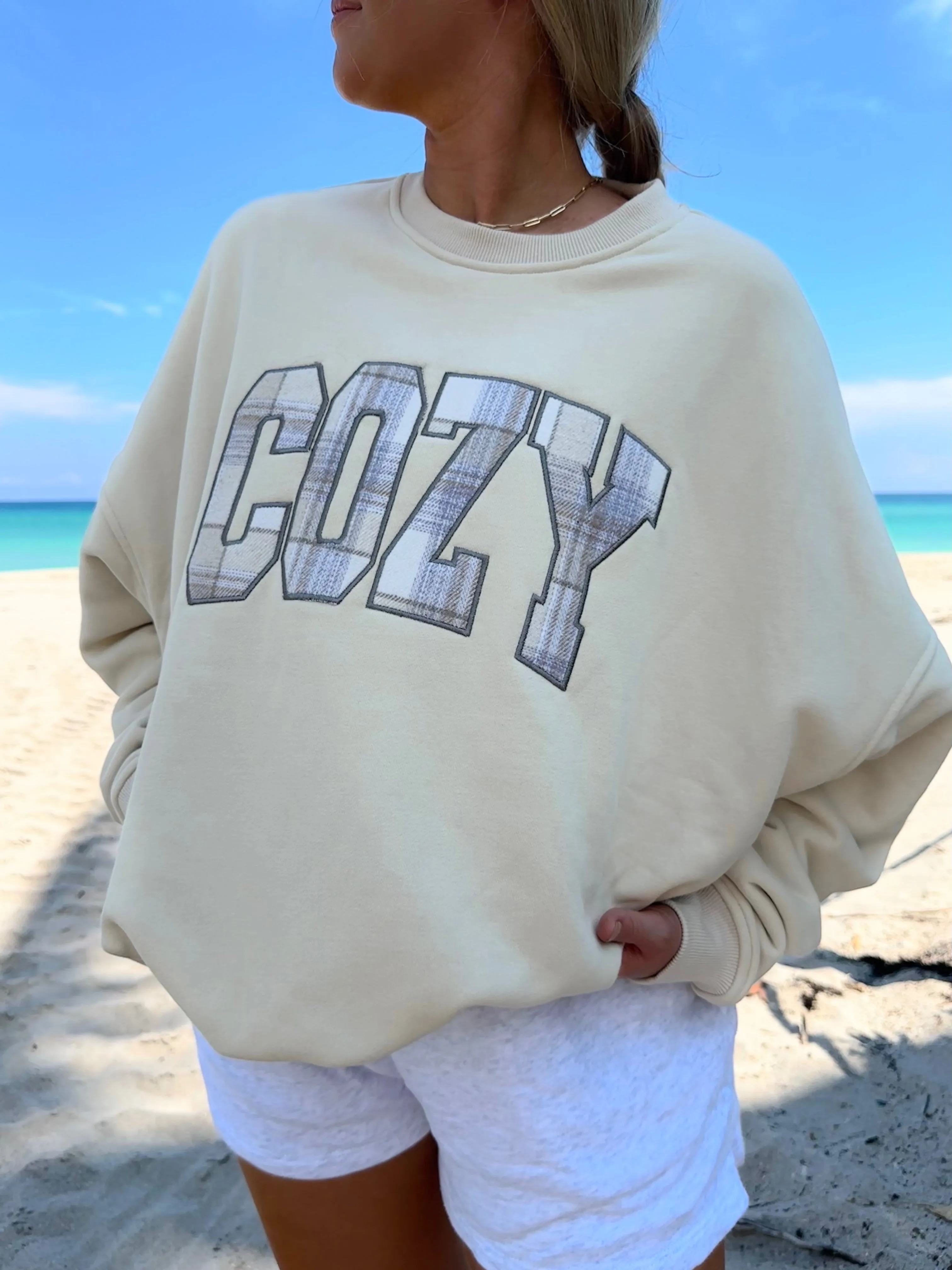 Cozy Embroider Flannel Fabric Sweatshirt