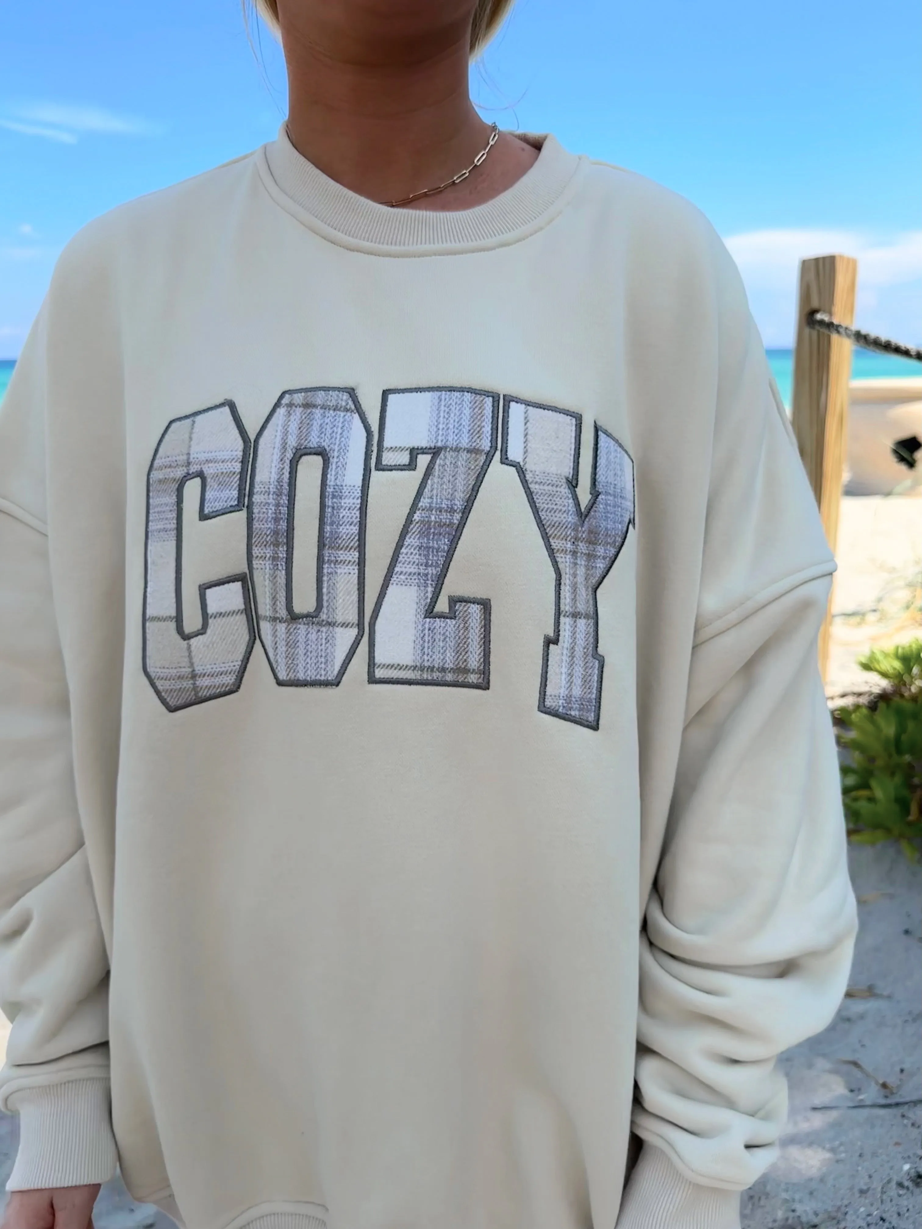 Cozy Embroider Flannel Fabric Sweatshirt