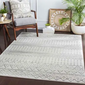 Schrins Transitional Area Rug Carpet for Living Room Bedroom or Kitchen